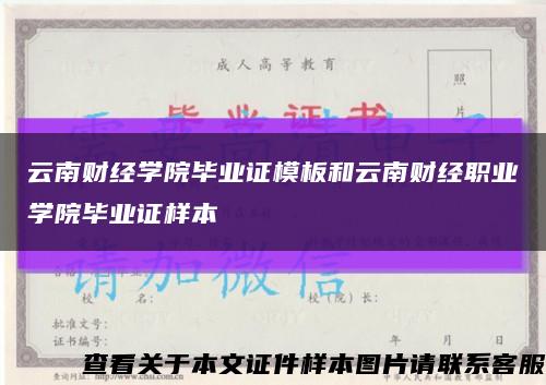 云南财经学院毕业证模板和云南财经职业学院毕业证样本缩略图