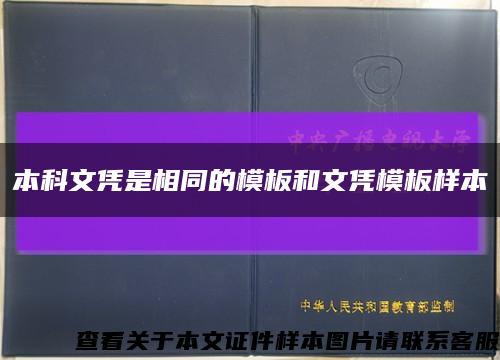 本科文凭是相同的模板和文凭模板样本缩略图