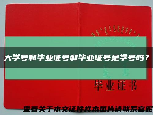 大学号和毕业证号和毕业证号是学号吗？缩略图