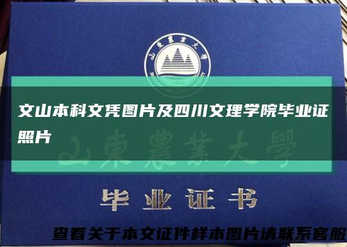 文山本科文凭图片及四川文理学院毕业证照片缩略图