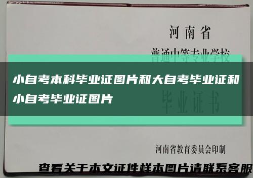 小自考本科毕业证图片和大自考毕业证和小自考毕业证图片缩略图