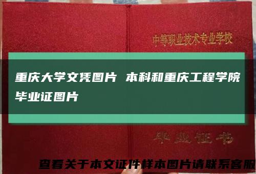 重庆大学文凭图片 本科和重庆工程学院毕业证图片缩略图