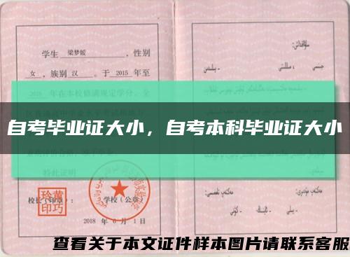 自考毕业证大小，自考本科毕业证大小缩略图