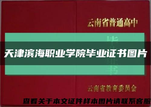 天津滨海职业学院毕业证书图片缩略图