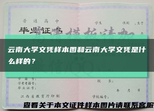 云南大学文凭样本图和云南大学文凭是什么样的？缩略图