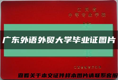 广东外语外贸大学毕业证图片缩略图