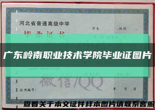 广东岭南职业技术学院毕业证图片缩略图