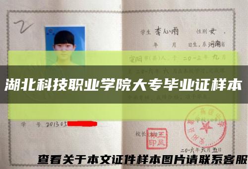 湖北科技职业学院大专毕业证样本缩略图