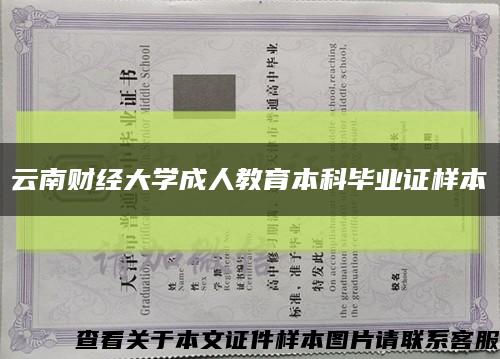 云南财经大学成人教育本科毕业证样本缩略图