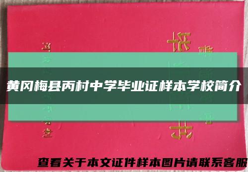 黄冈梅县丙村中学毕业证样本学校简介缩略图