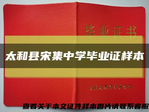 太和县宋集中学毕业证样本缩略图