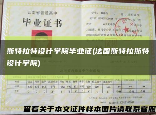 斯特拉特设计学院毕业证(法国斯特拉斯特设计学院)缩略图