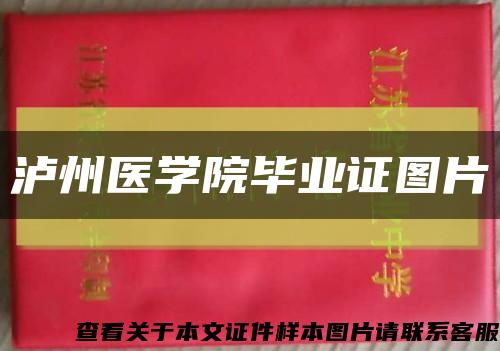 泸州医学院毕业证图片缩略图