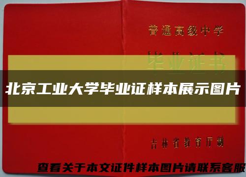 北京工业大学毕业证样本展示图片缩略图
