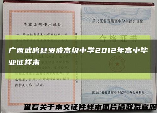 广西武鸣县罗波高级中学2012年高中毕业证样本缩略图