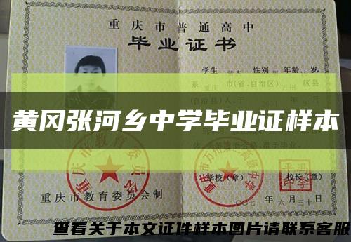 黄冈张河乡中学毕业证样本缩略图