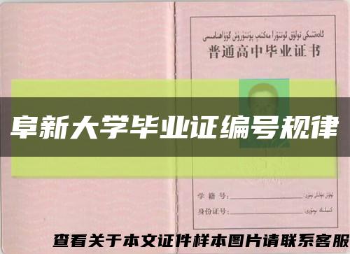 阜新大学毕业证编号规律缩略图