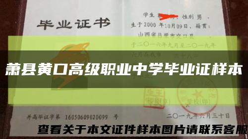 萧县黄口高级职业中学毕业证样本缩略图