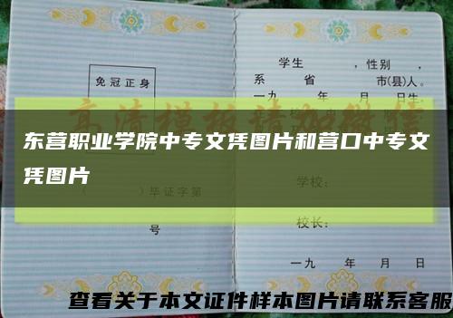 东营职业学院中专文凭图片和营口中专文凭图片缩略图