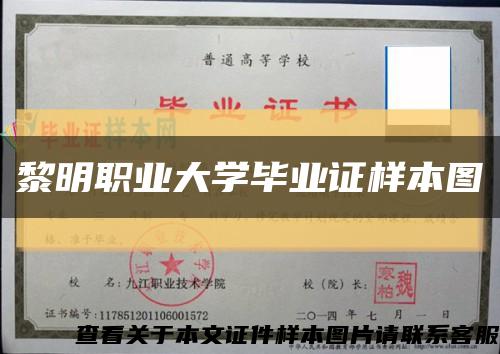 黎明职业大学毕业证样本图缩略图