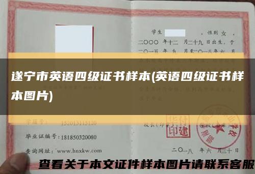 遂宁市英语四级证书样本(英语四级证书样本图片)缩略图