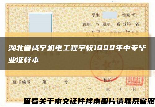 湖北省咸宁机电工程学校1999年中专毕业证样本缩略图