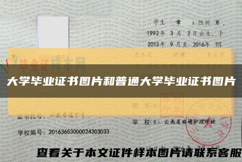 大学毕业证书图片和普通大学毕业证书图片缩略图