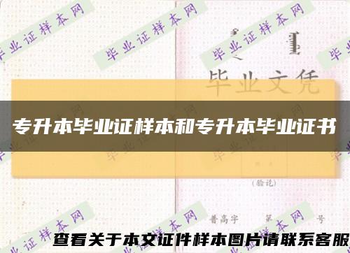 专升本毕业证样本和专升本毕业证书缩略图