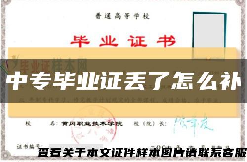 中专毕业证丢了怎么补缩略图