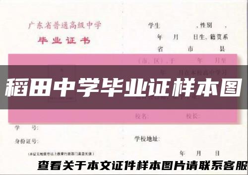 稻田中学毕业证样本图缩略图