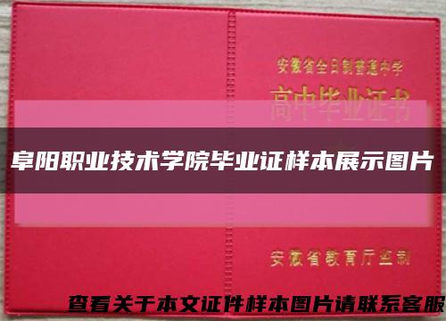 阜阳职业技术学院毕业证样本展示图片缩略图