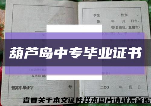 葫芦岛中专毕业证书缩略图