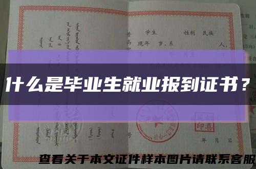 什么是毕业生就业报到证书？缩略图