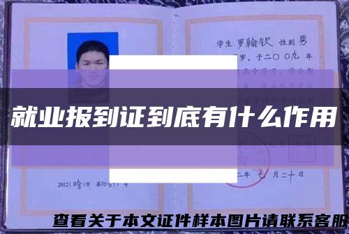 就业报到证到底有什么作用缩略图