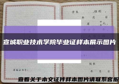 宣城职业技术学院毕业证样本展示图片缩略图