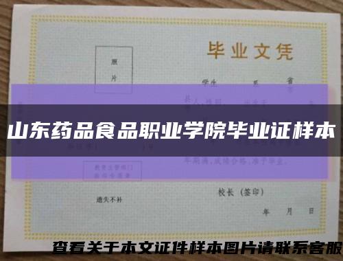 山东药品食品职业学院毕业证样本缩略图