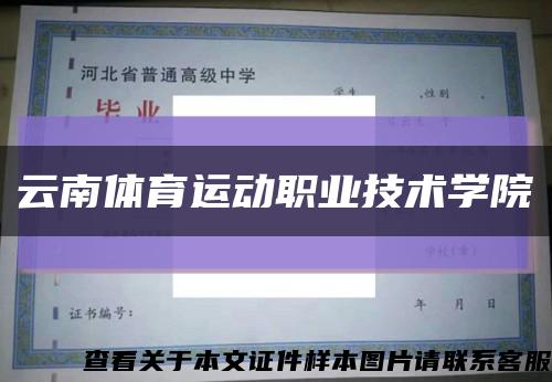 云南体育运动职业技术学院缩略图