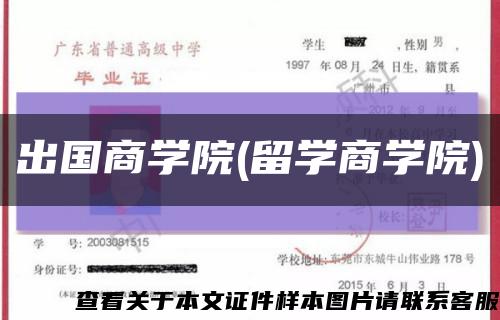出国商学院(留学商学院)缩略图