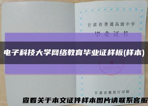 电子科技大学网络教育毕业证样板(样本)缩略图