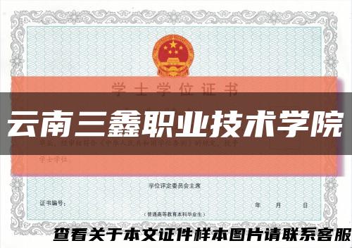 云南三鑫职业技术学院缩略图