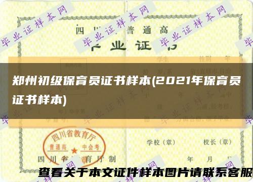 郑州初级保育员证书样本(2021年保育员证书样本)缩略图