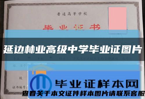 延边林业高级中学毕业证图片缩略图