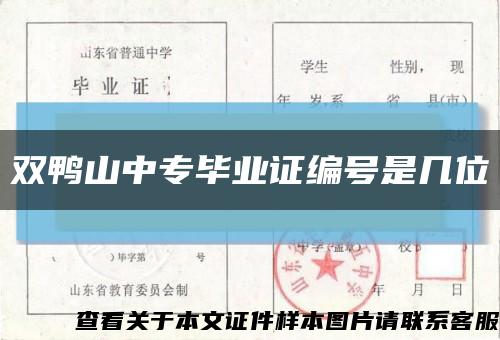 双鸭山中专毕业证编号是几位缩略图