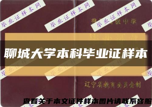 聊城大学本科毕业证样本缩略图