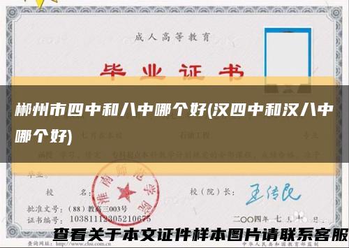 郴州市四中和八中哪个好(汉四中和汉八中哪个好)缩略图