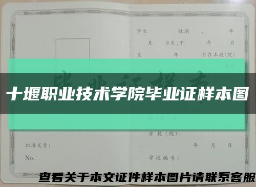 十堰职业技术学院毕业证样本图缩略图