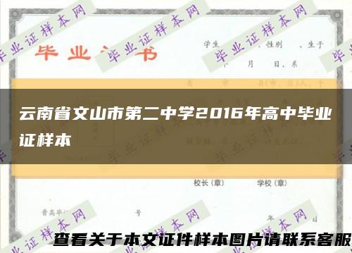 云南省文山市第二中学2016年高中毕业证样本缩略图