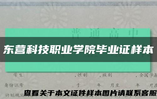东营科技职业学院毕业证样本缩略图