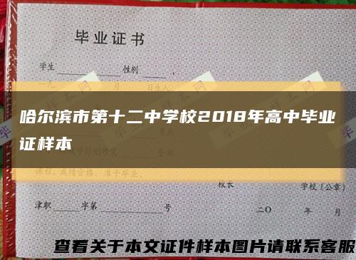 哈尔滨市第十二中学校2018年高中毕业证样本缩略图