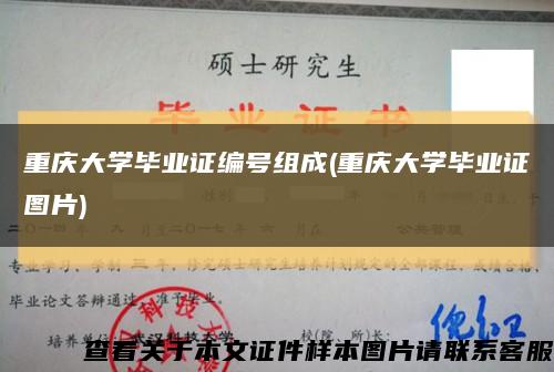 重庆大学毕业证编号组成(重庆大学毕业证图片)缩略图
